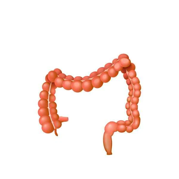 What medicine should I take for intestinal obstruction and spleen and stomach weakness?