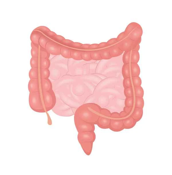 What kind of food can I eat four days after I have intestinal polyps?