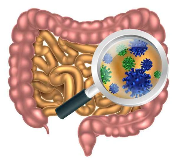 How do intestinal polyps develop?