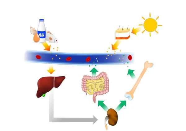 Can intestinal polyps in children cause anemia? Why?