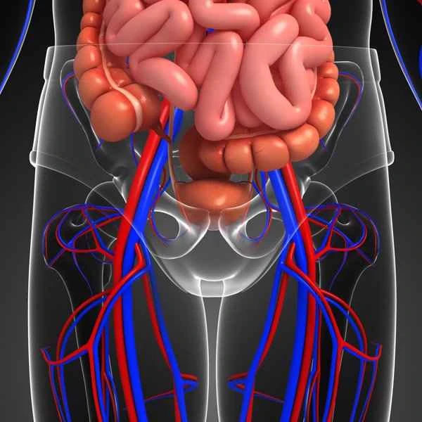 Does intestinal obstruction cause frequent abdominal pain?