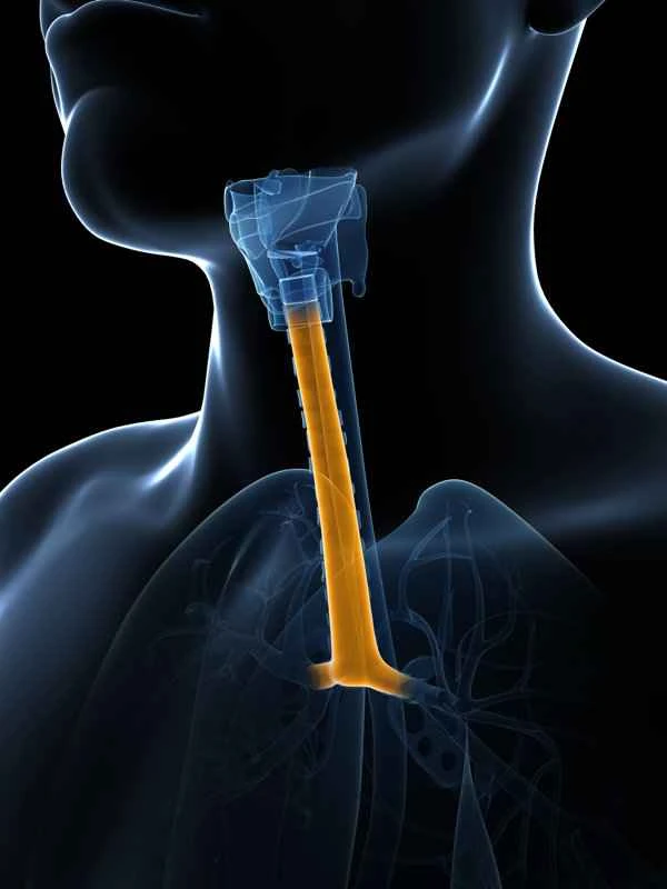 Can stomach cancer develop into esophageal cancer?