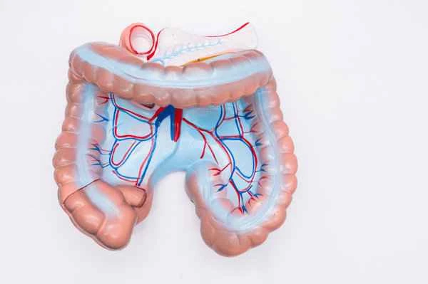 How to diagnose malignant intestinal obstruction?