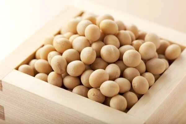 Can patients with intestinal obstruction eat soybeans?